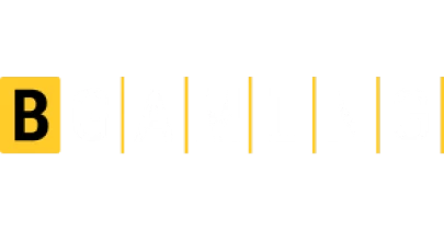 partners who work with Jvspin